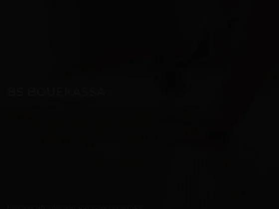 Bs bouekassa