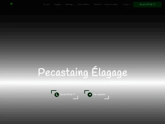 Pecastaing Elagage