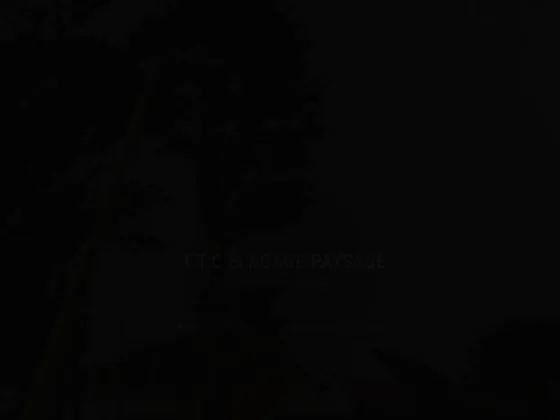 T.t.c elagage paysage