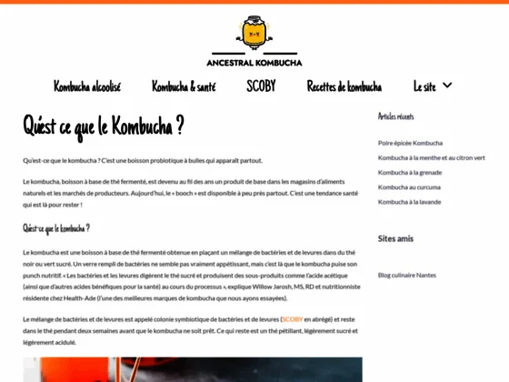 Kombucha, santé et fermentation