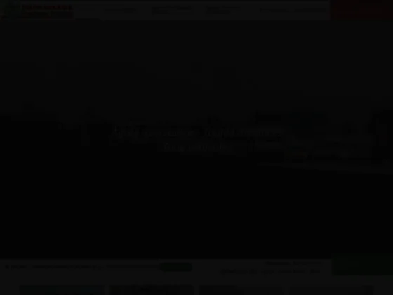 Dépannage Danieau Patrice (DDP)