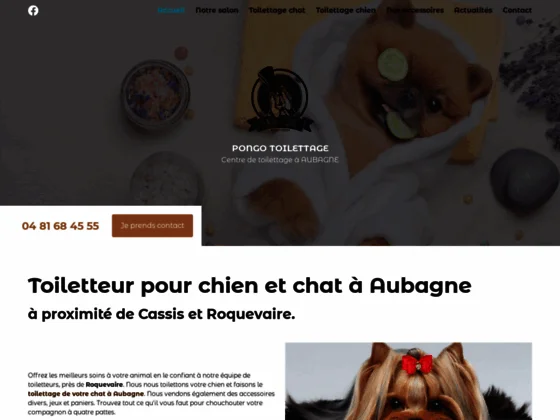 Rendez-vous au salon de toilettage Pongo pour prendre soin de votre compagnon