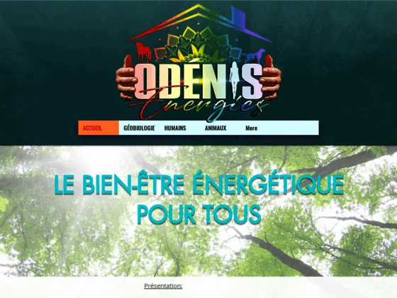 Odénis Énergies - Géobiologie de l'habitat, magnétisme et Reiki