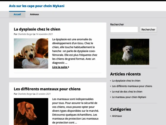 MyDogs : Des conseils pour prendre soin de votre chien