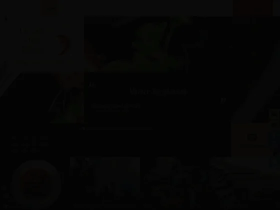 Le café des allées