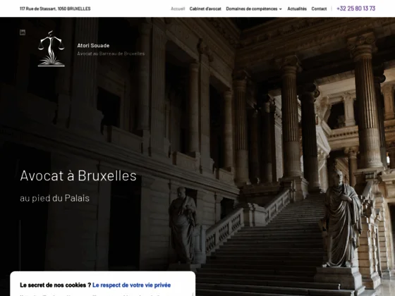 Assistance juridique en cas de violences conjugales à Bruxelles par Me ATORI, avocat