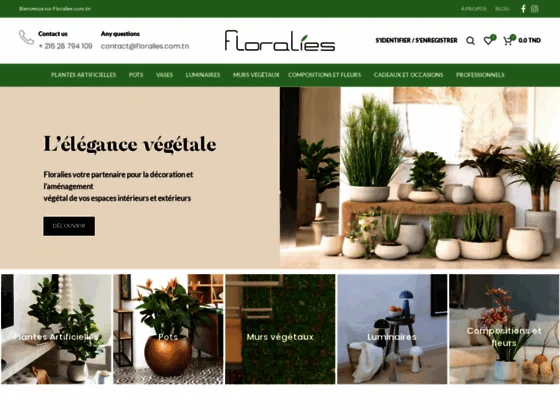 Plantes artificielles en Tunisie