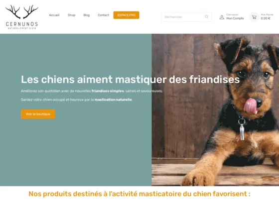 Cernunos : Naturellement divin!