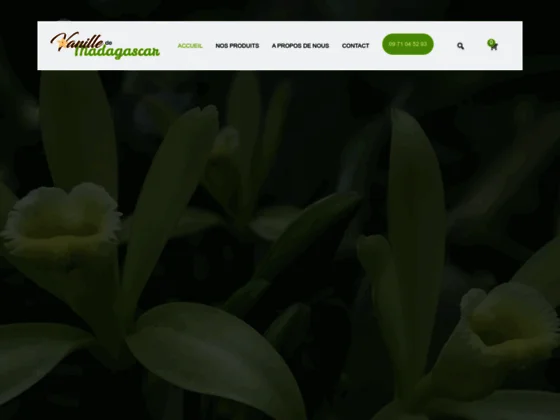 Vanille de Madagascar 