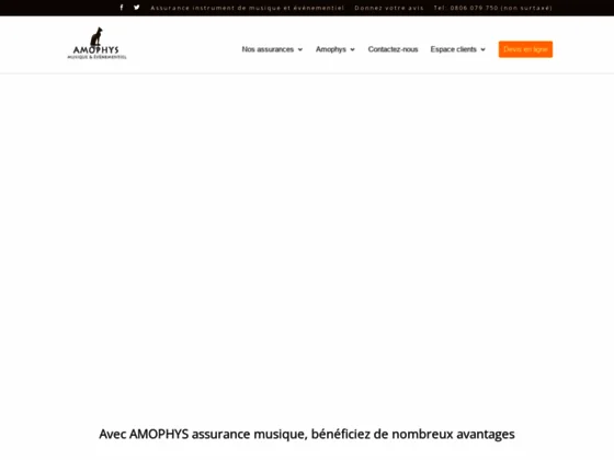Assurance instrument de musique I Amophys