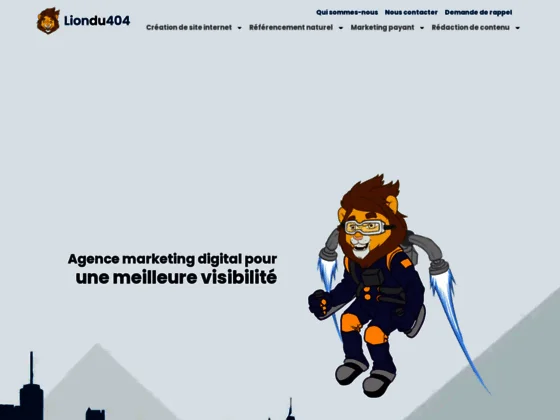 Liondu404 - Agence marketing digital
