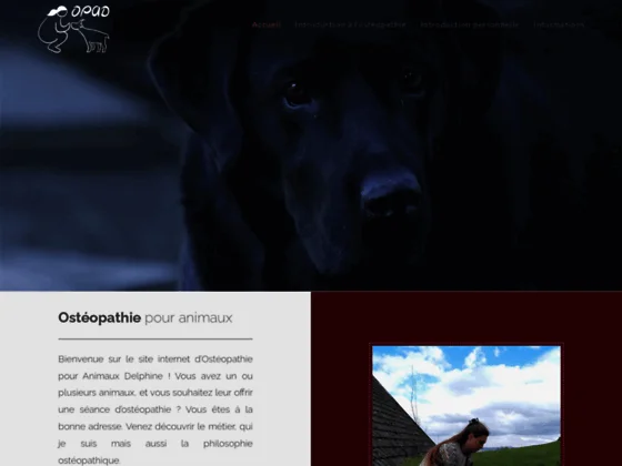 Delphine, une ostéopathe pour tout animal