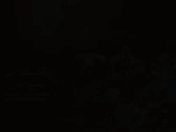 La bonne pizz montbeton