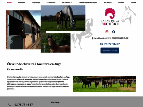 Réserver l'hébergement pour votre jument en gestation  au haras de la cochère en Normandie