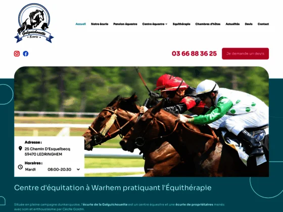 Équithérapie à Dunkerque 