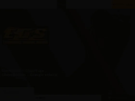 Egs electricite generale services