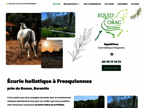 Écurie active proposant un hébergement complet pour votre cheval près de Rouen