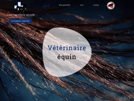 Vétérinaire équin en Lorraine 