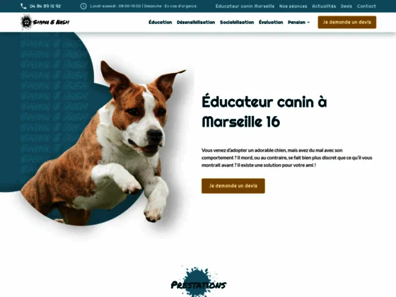 Eduq by Shyna Nash, votre éducateur canin à Marseille 16