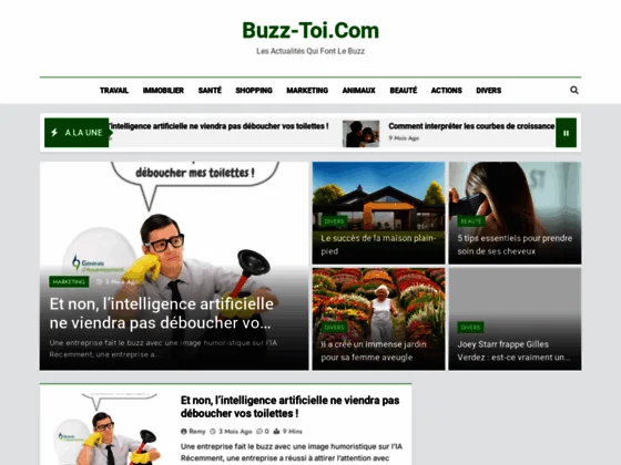 Buzz-Toi, votre magazine en ligne
