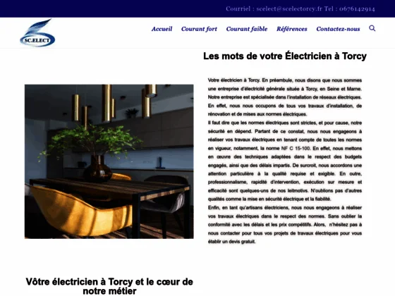 Electricien Torcy 