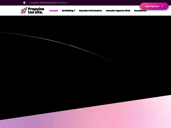 Propulse ton site : annuaire de pro et de netlinking