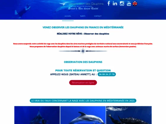 Observationdauphins.com