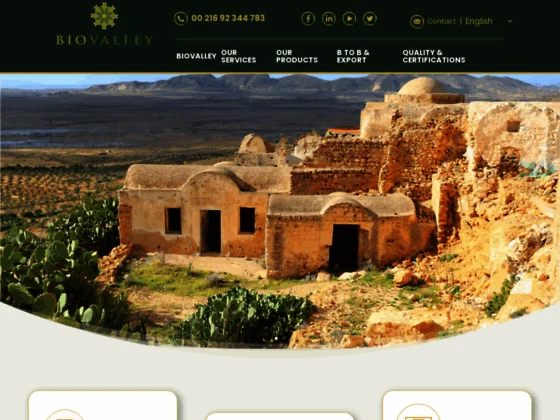 Huile de pépins de figue de Barbarie bio : l'essence de la beauté naturelle de la Tunisie