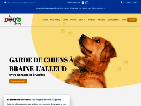 Éducateurs canins à Braine-l’Alleud