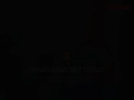 Miraculous Nettoyage