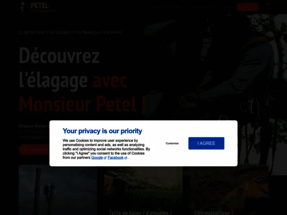 Petel elagage abattage