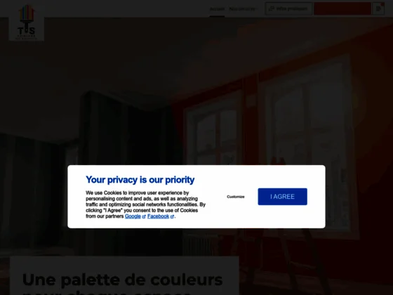 Ts peinture