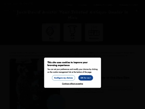 Jean-David Amato : brocanteur à Nice dans les Alpes-Maritimes (06)