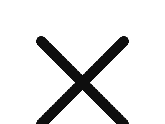 Votre boutique de référence dédiée aux plugs anaux