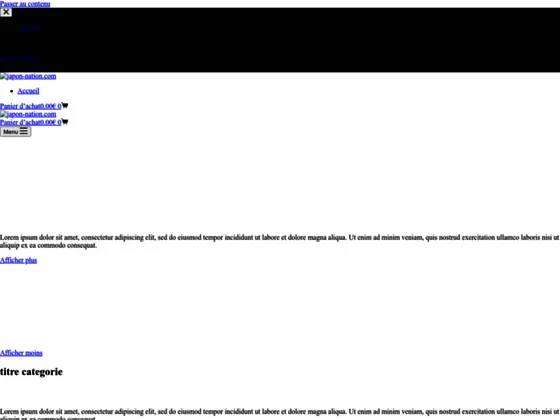 Boutique Japonaise numéro 1 en France