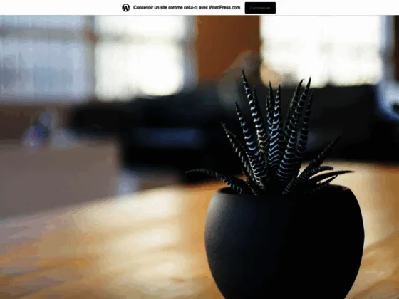 Décoration d’intérieur et meubles de La Baie d’Halong