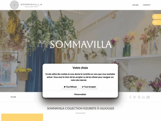 Fleurs séchées Toulon - Sommavilla