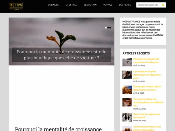https://mgtow-france.fr/