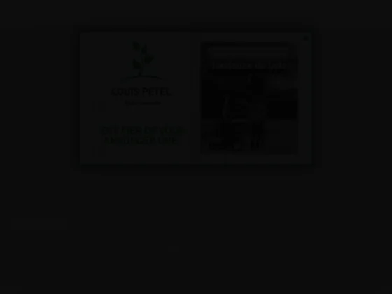 Louis Petel