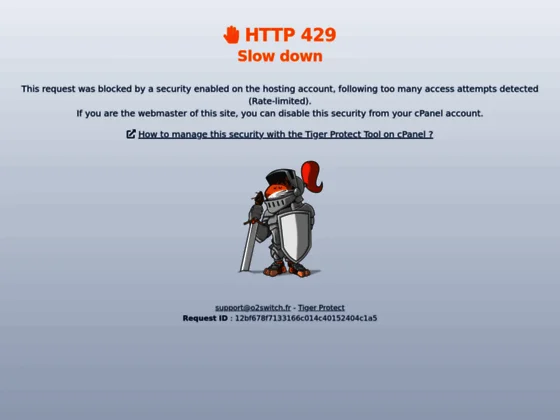 Décapeurs thermique