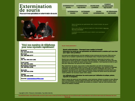 Extermination de souris