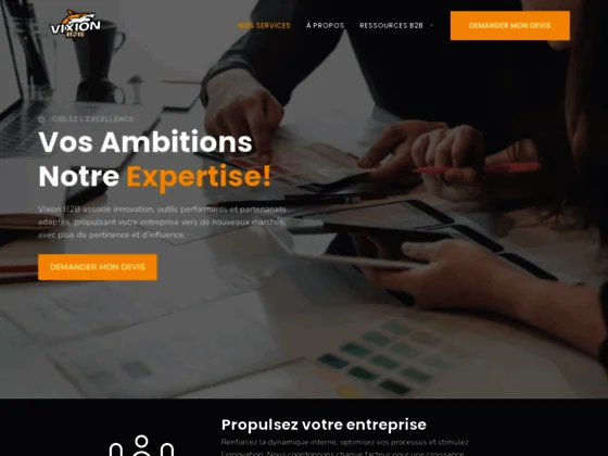 VixionB2B