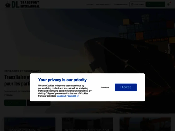 Dl transport international