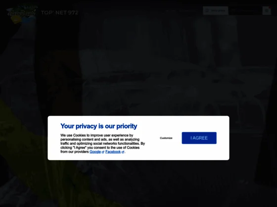 Top' net 972