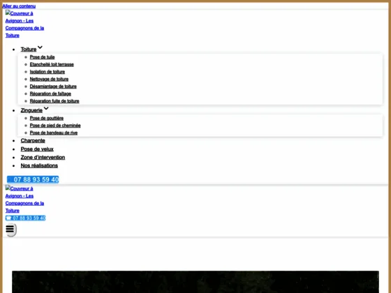 Nettoyage et démoussage de toiture à Avignon