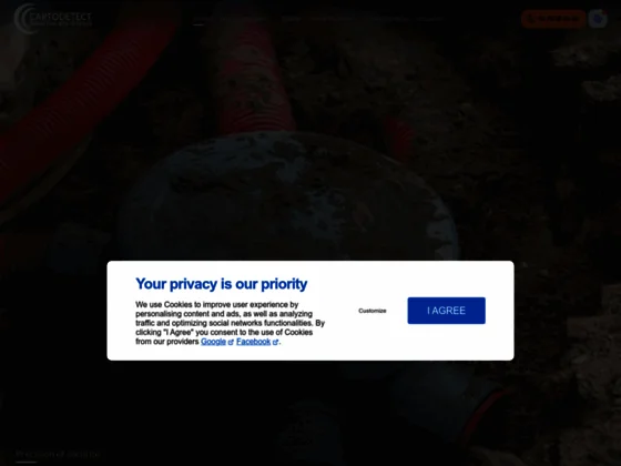 Cartodetect services
