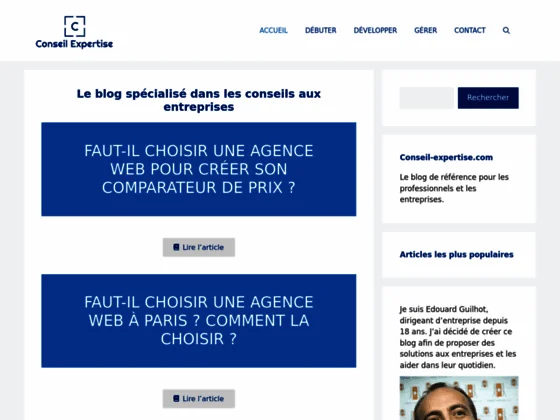 Conseil-expertise : Blog pour les professionnels et les entreprises