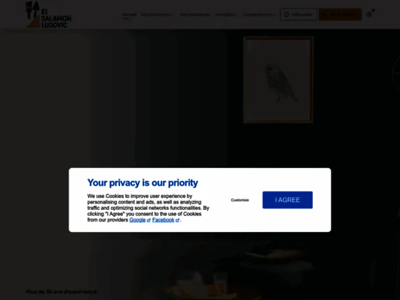 EI Salamon Ludovic