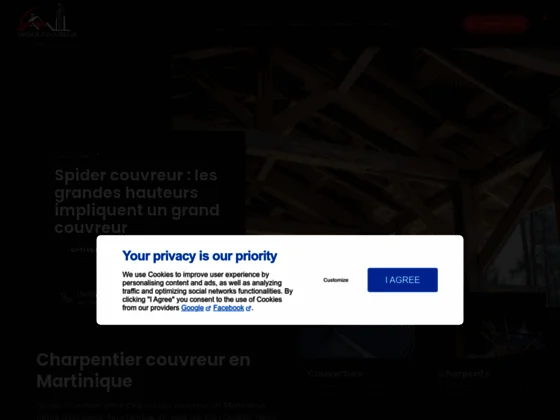 Spider Couvreur