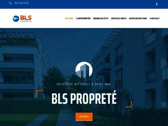 BLS PROPRETÉ – Société de nettoyage et d'entretien à Nancy